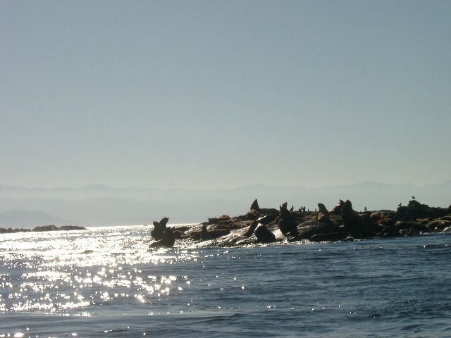 IMGP0976_1