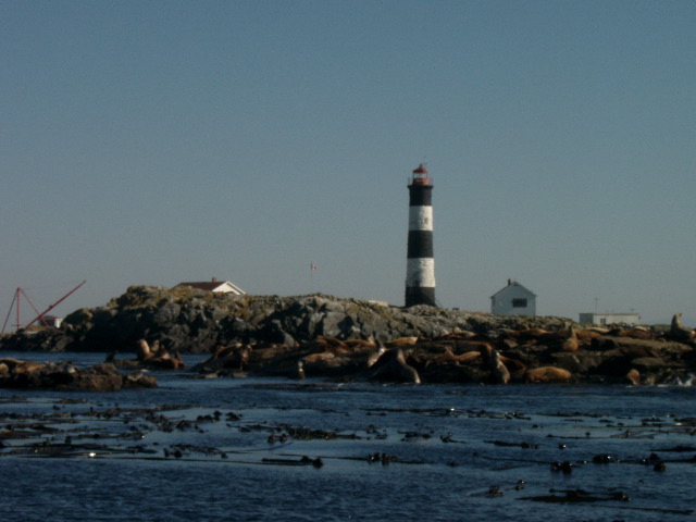 IMGP0979