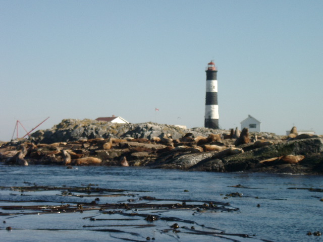 IMGP0980