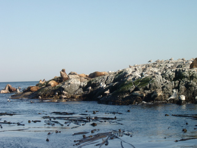 IMGP0981