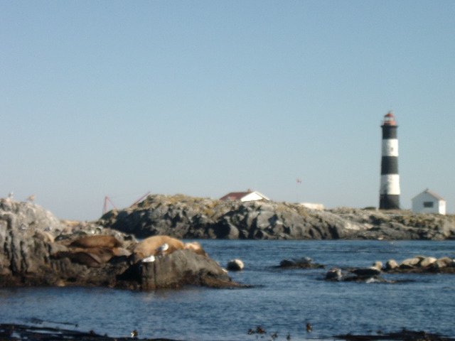 IMGP0982