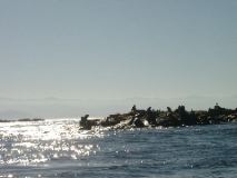 IMGP0976_1