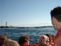 IMGP0978_1