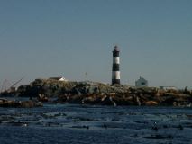 IMGP0979