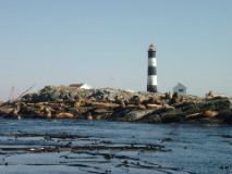 IMGP0980_1
